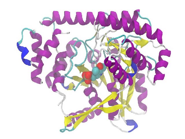 Características estructurales del sistema de dos componentes, LisR / LisK sugiere múltiples respuestas para el adaptación y supervivencia de Listeria monocytogenes