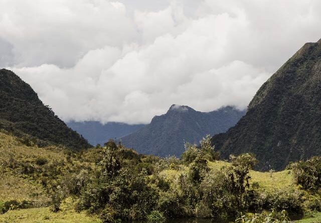 Ciberinfraestructura de biodiversidad en Colombia, Construcción de infraestructura de datos en países emergentes para fomentar el crecimiento socioeconómico